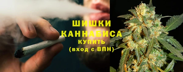 индика Тихорецк
