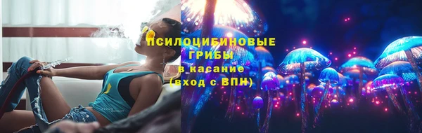 индика Тихорецк
