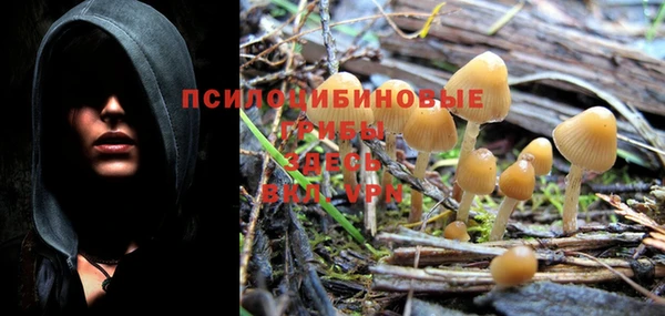 индика Тихорецк