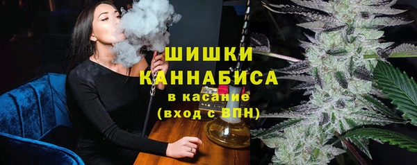 индика Тихорецк