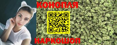 индика Апшеронск