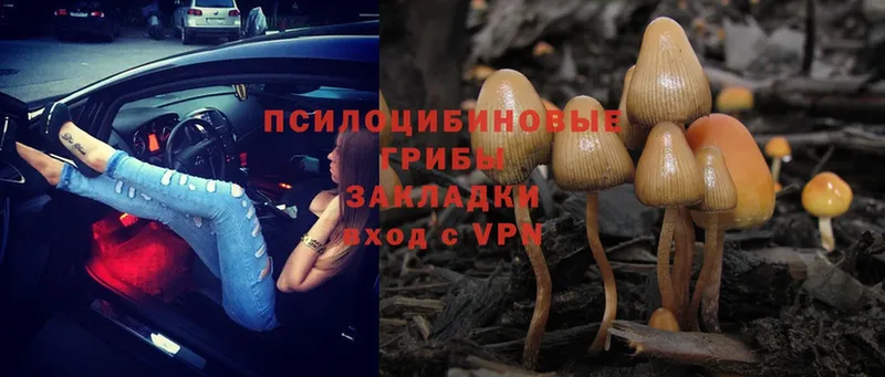 MEGA рабочий сайт  Бугульма  Галлюциногенные грибы мицелий 