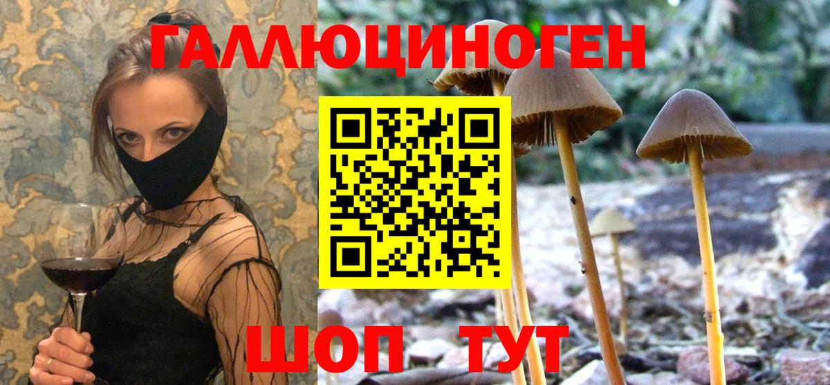 Галлюциногенные грибы GOLDEN TEACHER Бугульма