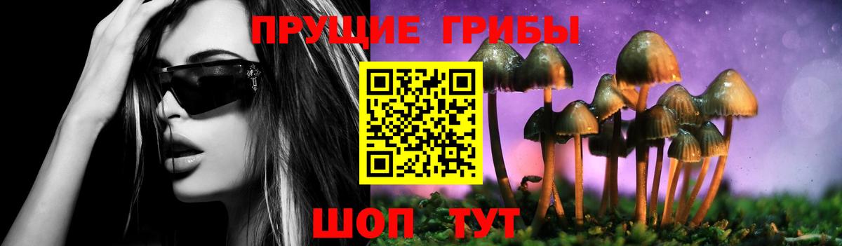 Псилоцибиновые грибы Psilocybe  Вход с VPN  Бугульма 
